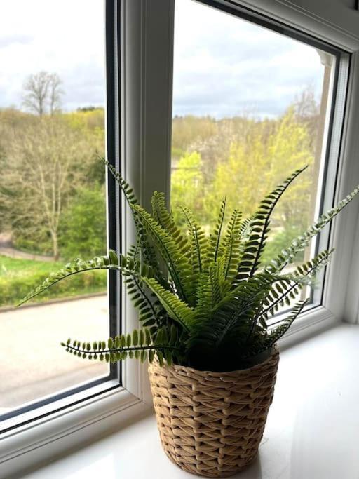 Olive Holiday Cottage Matlock 马特洛克 外观 照片